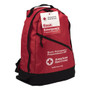 First Aid Only Bulk ANSI 2015 Compliant First Aid Kit, 211 Pieces, Plastic Case (FAO91051) View Product Image