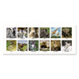 House of Doolittle Wildlife Photo Desk Top Tent Calendars - Julian Dates - Monthly - 12 Month - January 2026 to December 2026 - 1 Month Double Page Layout Product Image 
