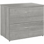 Bush Business Furniture Studio C 2 Drawer Lateral File Cabinet - 29.8" Height x 35.7" Width x 23.4" Depth - 2 x File Drawer(s) - Finish: Platinum Gray, Thermofused Laminate (TFL) Product Image 