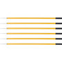 Ettore Trash Picker - 44" Reach - Lightweight, Ergonomic Handle, Safety Guard, Extended Tip - Steel - Gold Product Image 