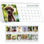 House of Doolittle Puppies Desktop Tent Calendar - Julian Dates - Monthly - 1 Year - January 2018 to December 2018 - 1 Month Double Page Layout Product Image 