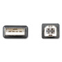 Innovera USB Cable, 10 ft, Black Product Image 