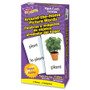 Trend English/Spanish Picture Words Flash Cards - Learning - Educational Product Image 