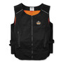 Ergodyne Chill-Its 6260 Cooling Packs Vest Kit - Recommended for: Indoor, Outdoor - 2-Xtra Large/3-Xtra Large - Heat Protection - Zipper Closure - 2 Pocket(s) - EGO12134 Product Image 