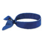 Ergodyne 6702 Cooling Bandana - EGO12399 Product Image 