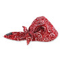 Ergodyne 6710CT Evaporative Cooling Bandana Triangle Hat - EGO12587 Product Image 