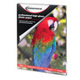 Innovera High-Gloss Photo Paper, 10 mil, 8.5 x 11, High-Gloss White, 50/Pack View Product Image