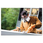 3M Half Facepiece Paint Spray/Pesticide Respirator, Medium View Product Image