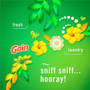Febreze Small Spaces Disposable Air Fresheners - PGC05528 Product Image 