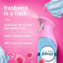 Febreze Air Effects Air Freshener - PGC17344 Product Image 