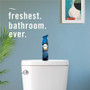 Febreze Air Effects Air Freshener - PGC17345 Product Image 