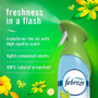 Febreze Air Effects Air Freshener - PGC17346 Product Image 