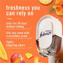 Febreze FadeDefy PLUG Air Freshener - PGC13843 Product Image 