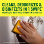 Pine-Sol Pine-Sol Multi-Surface Cleaner - CLO60149 Product Image 