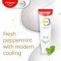 Palmolive Travel-Size Fluoride Toothpaste - CPC61044324 Product Image 