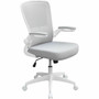 Boss Flip Arm Mesh Back Task Chair - Gray Seat Color - Foam, Fabric Seat Material - Mesh Back Material - White Frame Color - 5-star Base Product Image 