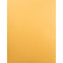 Quality Park Catalog Envelope, 28 lb Bond Weight Kraft, #15 1/2, Square Flap, Gummed Closure, 12 x 15.5, Brown Kraft, 100/Box (QUA41967) View Product Image