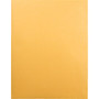 Quality Park Catalog Envelope, 28 lb Bond Weight Kraft, #15 1/2, Square Flap, Gummed Closure, 12 x 15.5, Brown Kraft, 100/Box View Product Image
