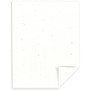 Astrobrights Color Paper, 24 lb Bond Weight, 8.5 x 11, Stardust White, 500 Sheets/Ream (WAU22301) View Product Image