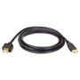 Tripp Lite USB 2.0 A Extension Cable, 6 ft, Black (TRPU024006) View Product Image