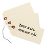 Avery Double Wired Shipping Tags, 11.5 pt Stock, 6.25 x 3.13, Manila, 1,000/Box (AVE12608) View Product Image