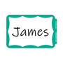C-Line Self-Adhesive Name Badges, 3.5 x 2.25, Green, 100/Box View Product Image