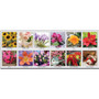 House of Doolittle EarthScapes Flowers 18-1/2" Desk Pad - Julian Dates - (HOD1596) Product Image 