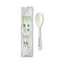 World Centric TPLA Compostable Cutlery, Spoon, Plastic, White, 750/Carton View Product Image
