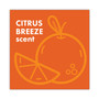 Boulder Clean Liquid Laundry Detergent, Citrus Breeze, 200 oz Bottle, 2/Carton View Product Image