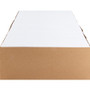 Business Source No. 9 Double Window Invoice Envelopes (BSN36681) View Product Image
