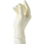 Curad Powder Free Latex Exam Gloves (MIICUR8103) View Product Image