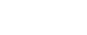 NIB Logo