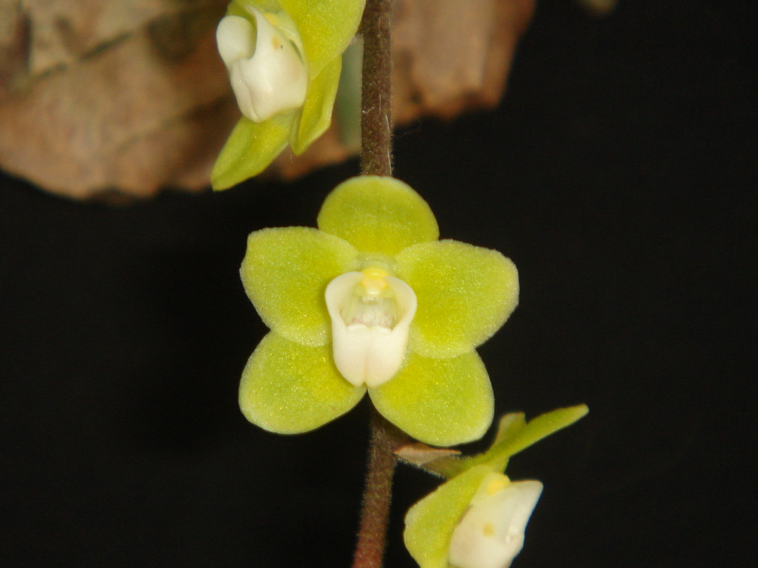 5c3c8c2d-1e61-409c-a1d9-4ce30ada0b77