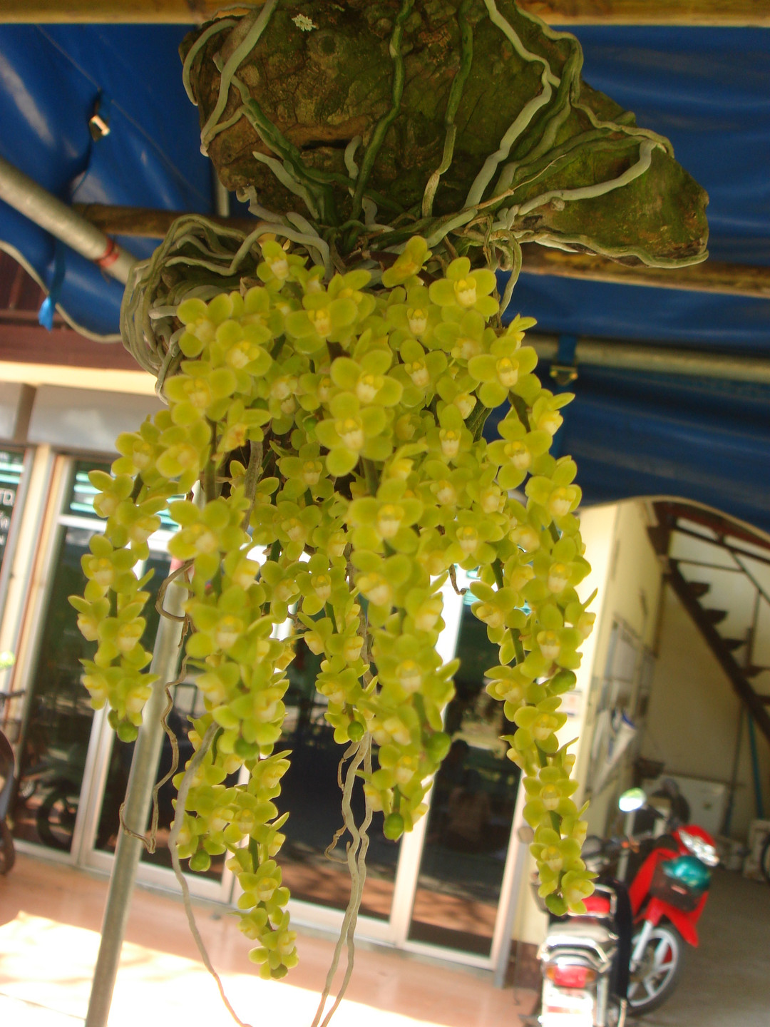 8803ea37-e72b-4ad8-9d37-20665bd1165f