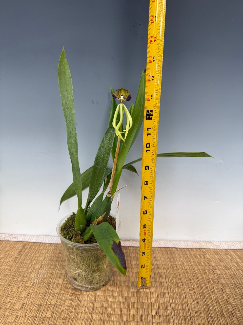 3a95eb7f-734c-4646-a053-9fff516552ae