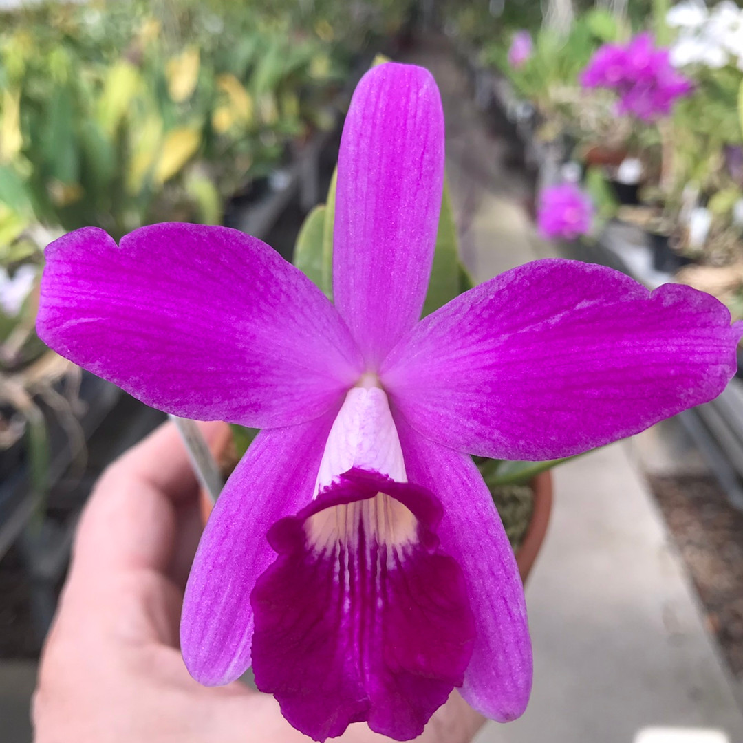 c72052a8-9816-4c7e-a9ab-26f2f3343133