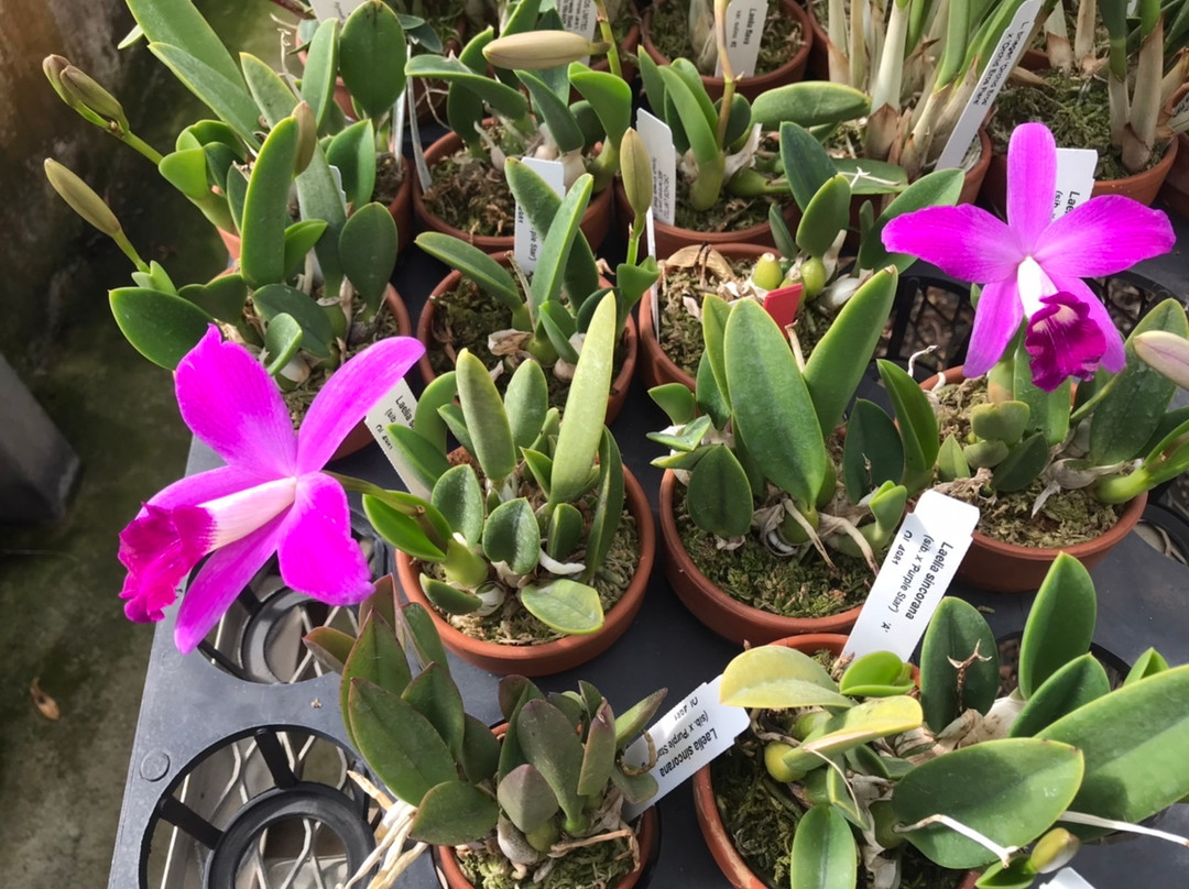 e3c36531-51f0-42c2-96da-c5daeaa8e19a