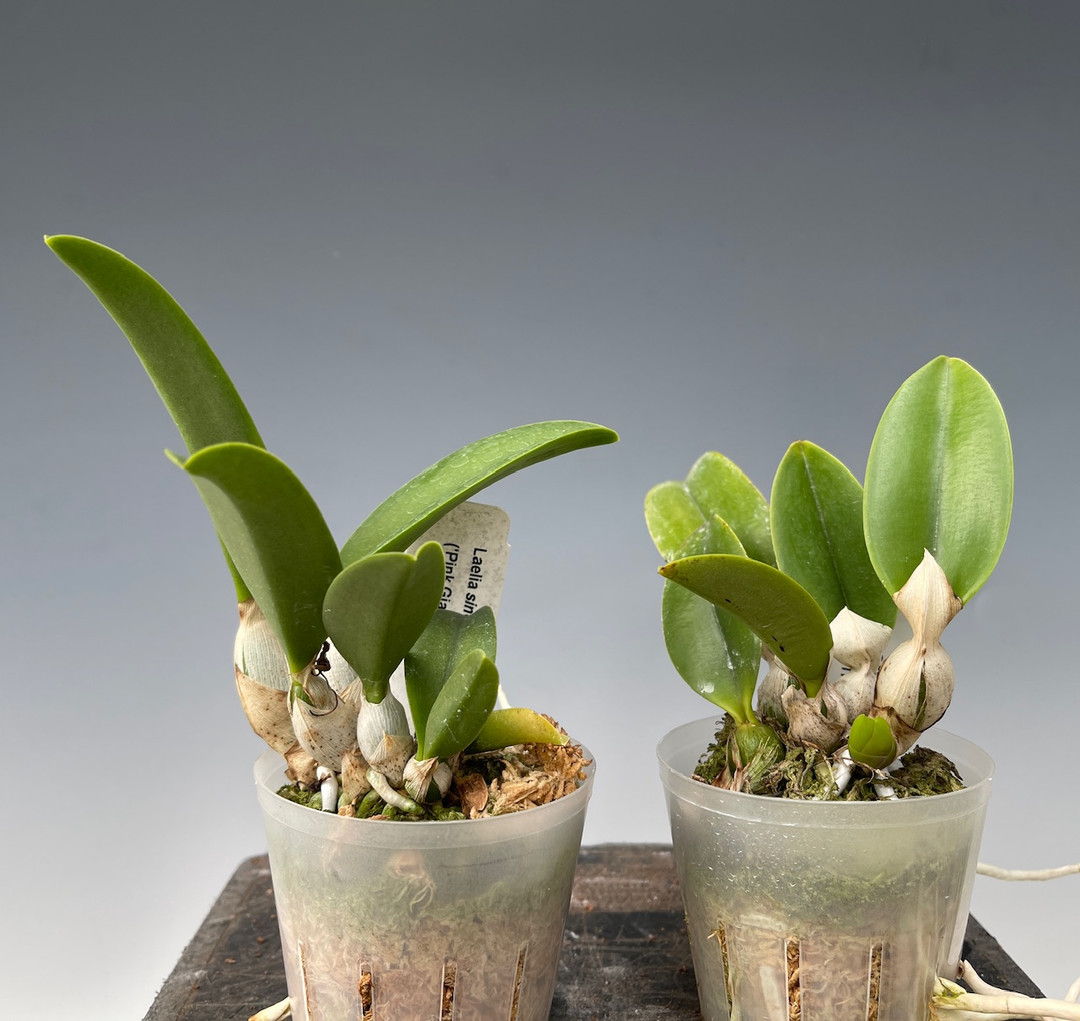 9b147a27-2ae2-4764-b776-4120d640f332