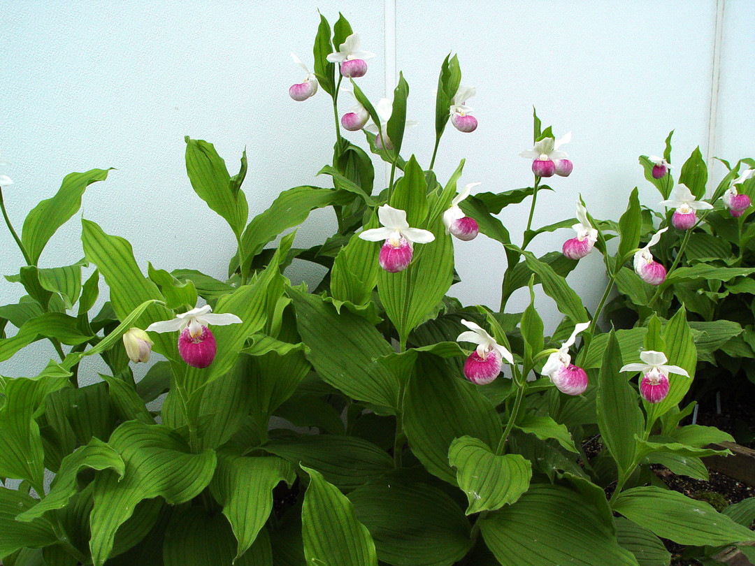 86623aee-9676-49ae-a084-271415d23507