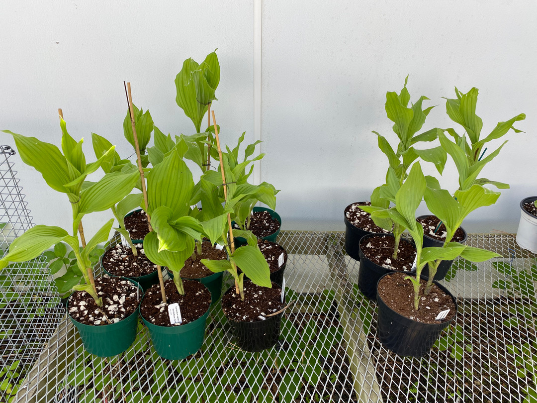 a93fe3ef-d81f-426b-8896-8197a0986120