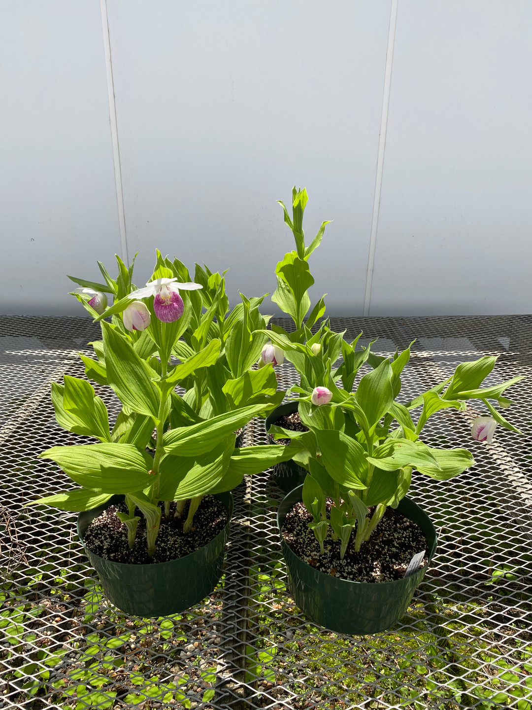 993b5d97-720c-43a9-b015-3dfddd8e61ae