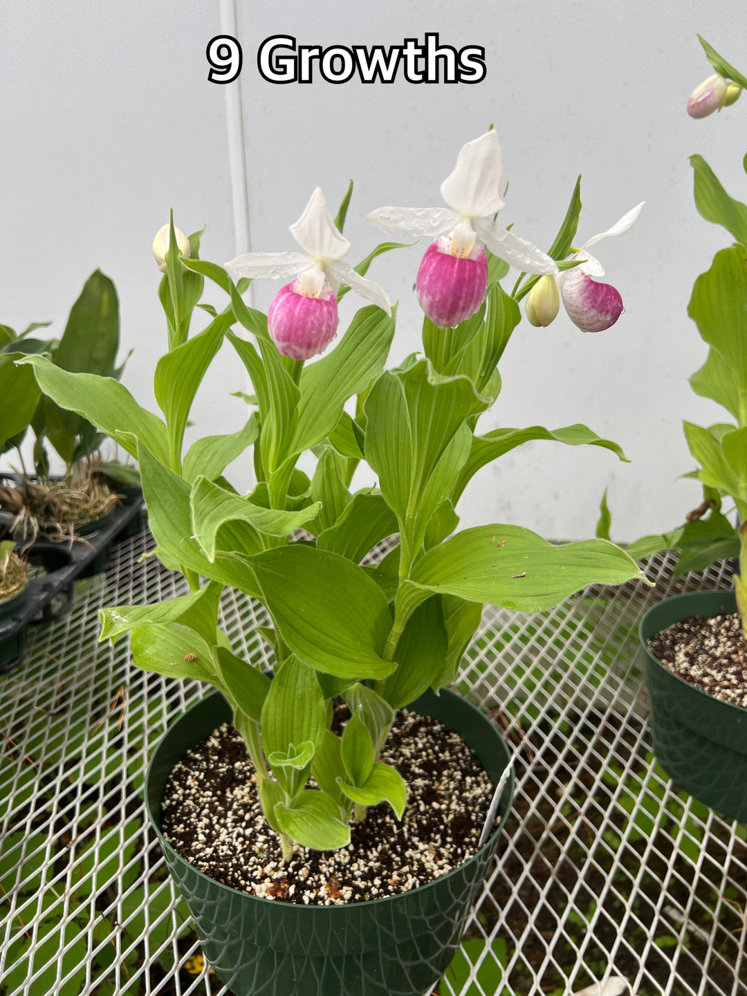 169f6213-60e7-4333-b00d-2aabdebf8a2a