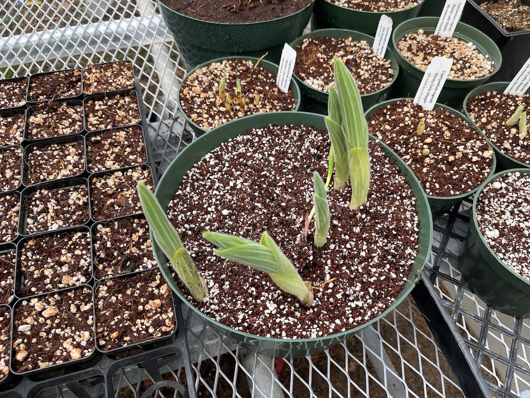 9f8b9646-f3c1-46ad-8edb-3e6a5829b3a8