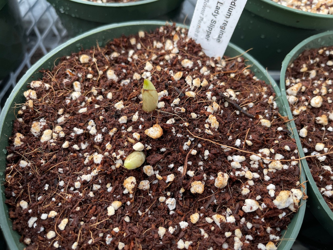 840be649-2772-4827-aa2a-1a686ca100a0