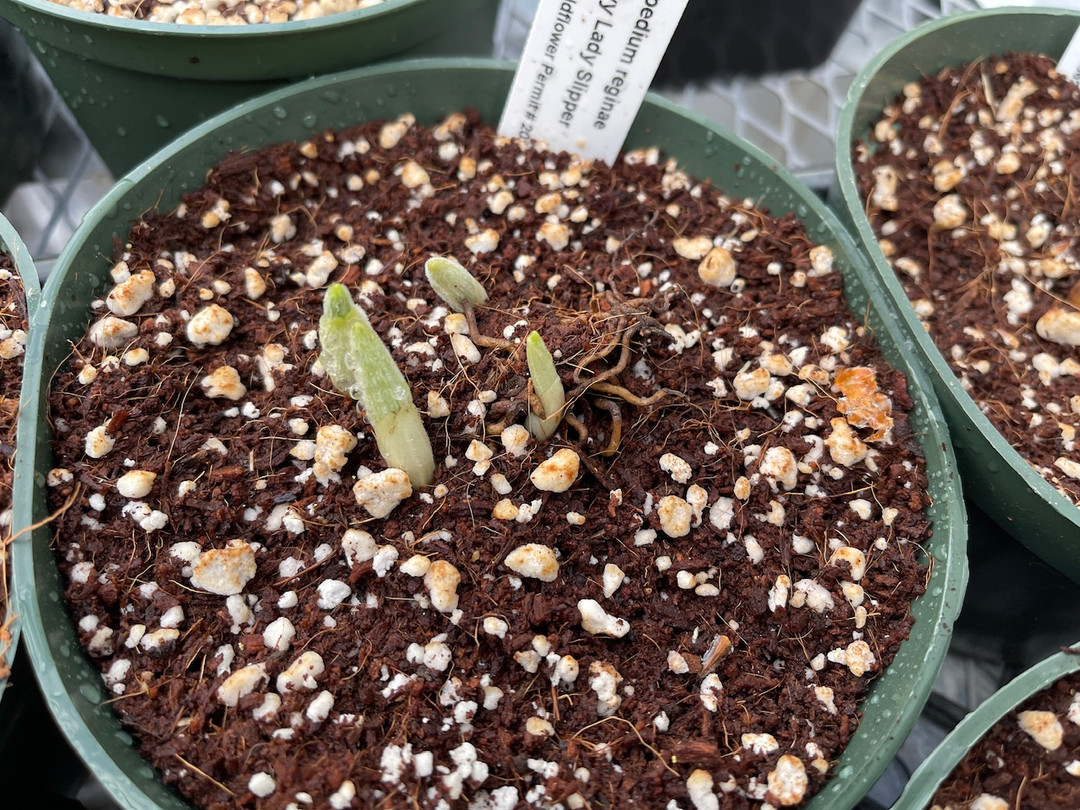 747383fc-5913-49c7-ace4-9fa88c66e3ce