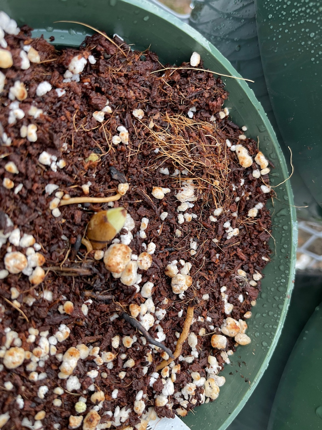 5104cdb4-7cf0-4c8a-8e4d-430b813386c4