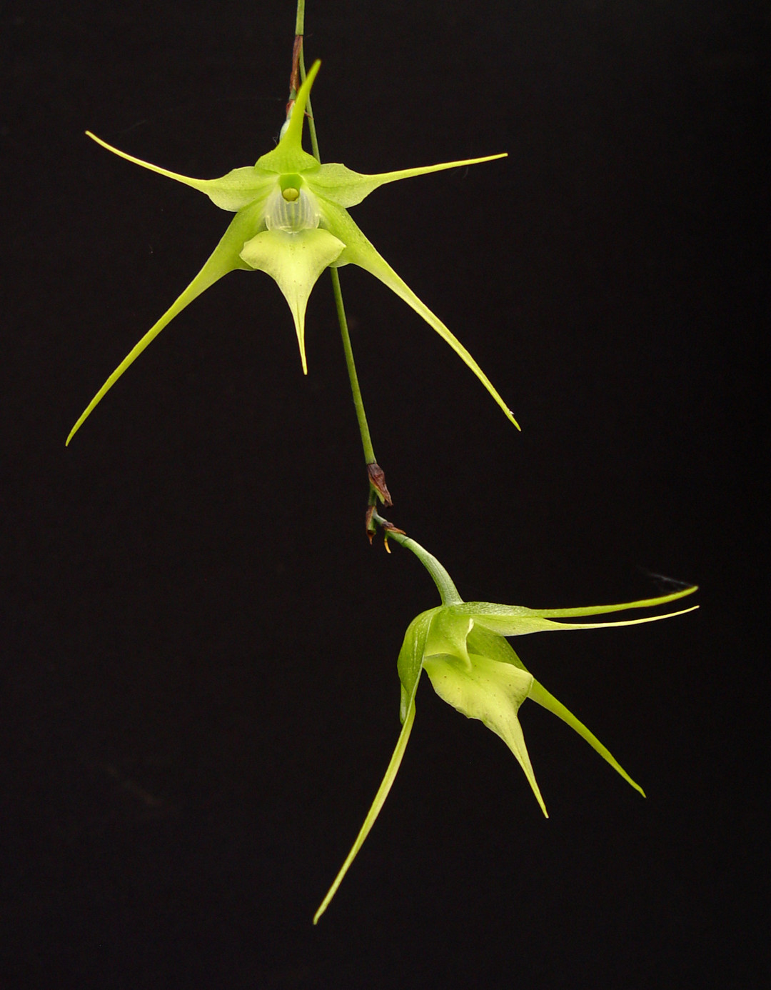 d92f646d-8403-4ec6-9bb1-e44f327f5b14