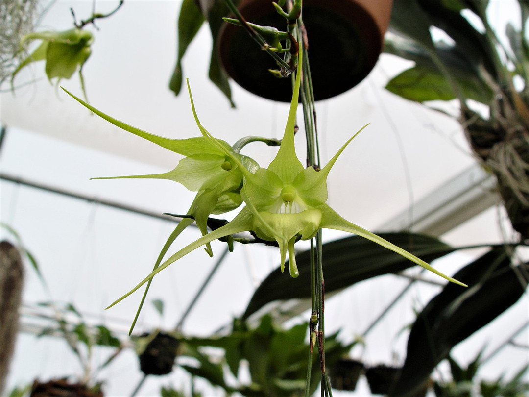 00bbd14d-c50e-44b0-8c44-6a7104ce8c2a