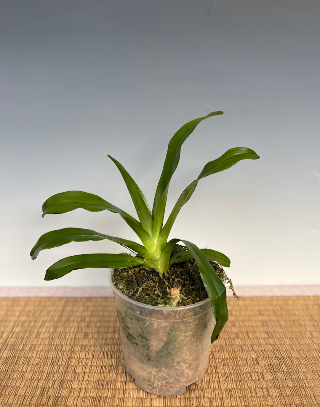 986fb9e9-2745-42b3-b53d-389ed315fb97