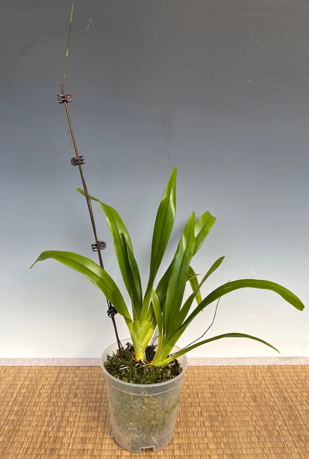 f6d40867-169a-4d28-b716-21c2d59dcb44